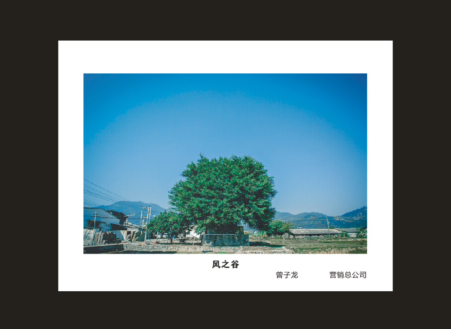 KAIYUN·开云「中国」官方网站智能成立16周年司庆活动“魅力KAIYUN·开云「中国」官方网站”摄影比赛优秀作品展