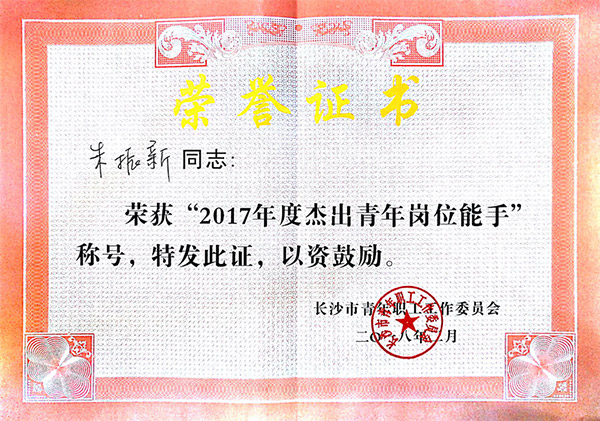 KAIYUN·开云「中国」官方网站智能朱振新荣获长沙市2017年度杰出青年岗位能手