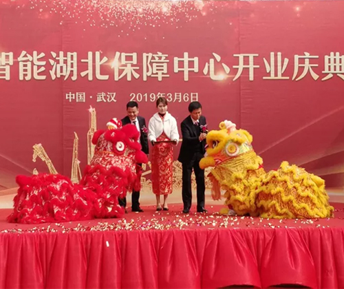 同心同梦，KAIYUN·开云「中国」官方网站智能全球客户交流会武汉站隆重举行