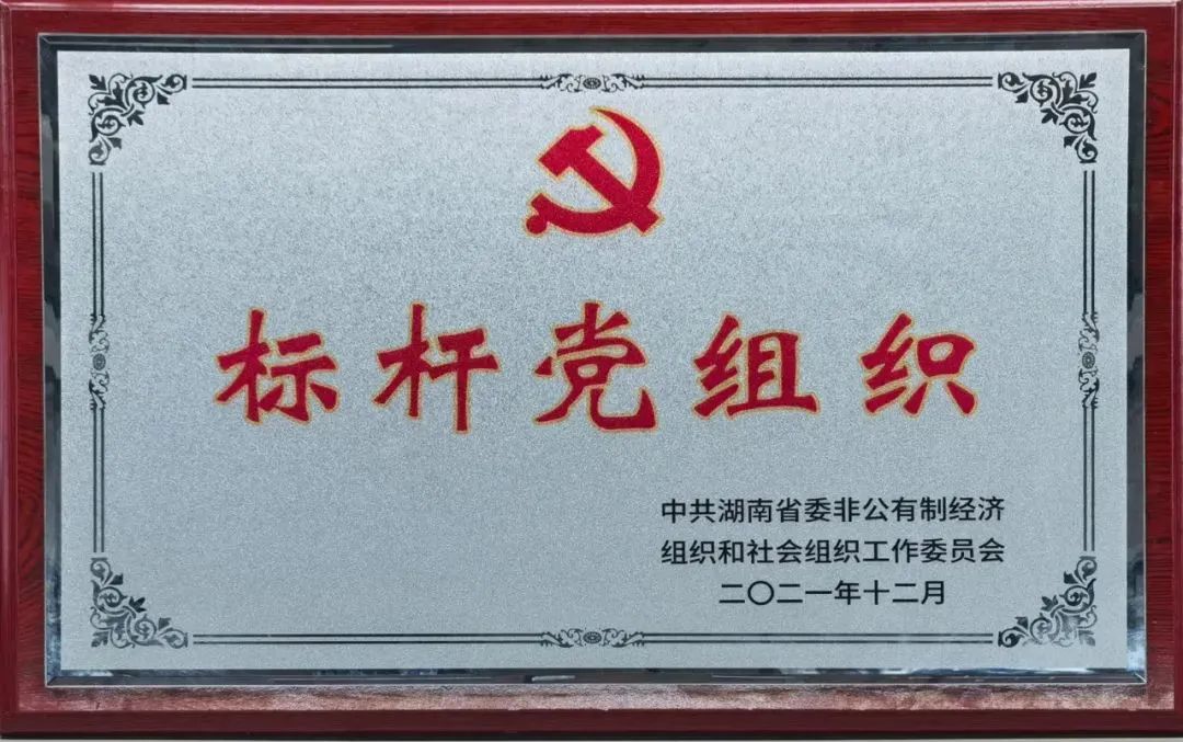 党建品牌亮起来！KAIYUN·开云「中国」官方网站智能党委获评“标杆党组织”