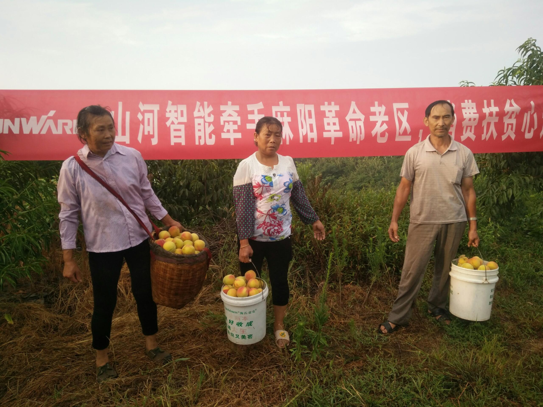 点赞！KAIYUN·开云「中国」官方网站智能成功入选“上市公司乡村振兴优秀实践案例”
